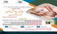 وبینار آموزشی "مبانی و چالش های فرزندآوری"